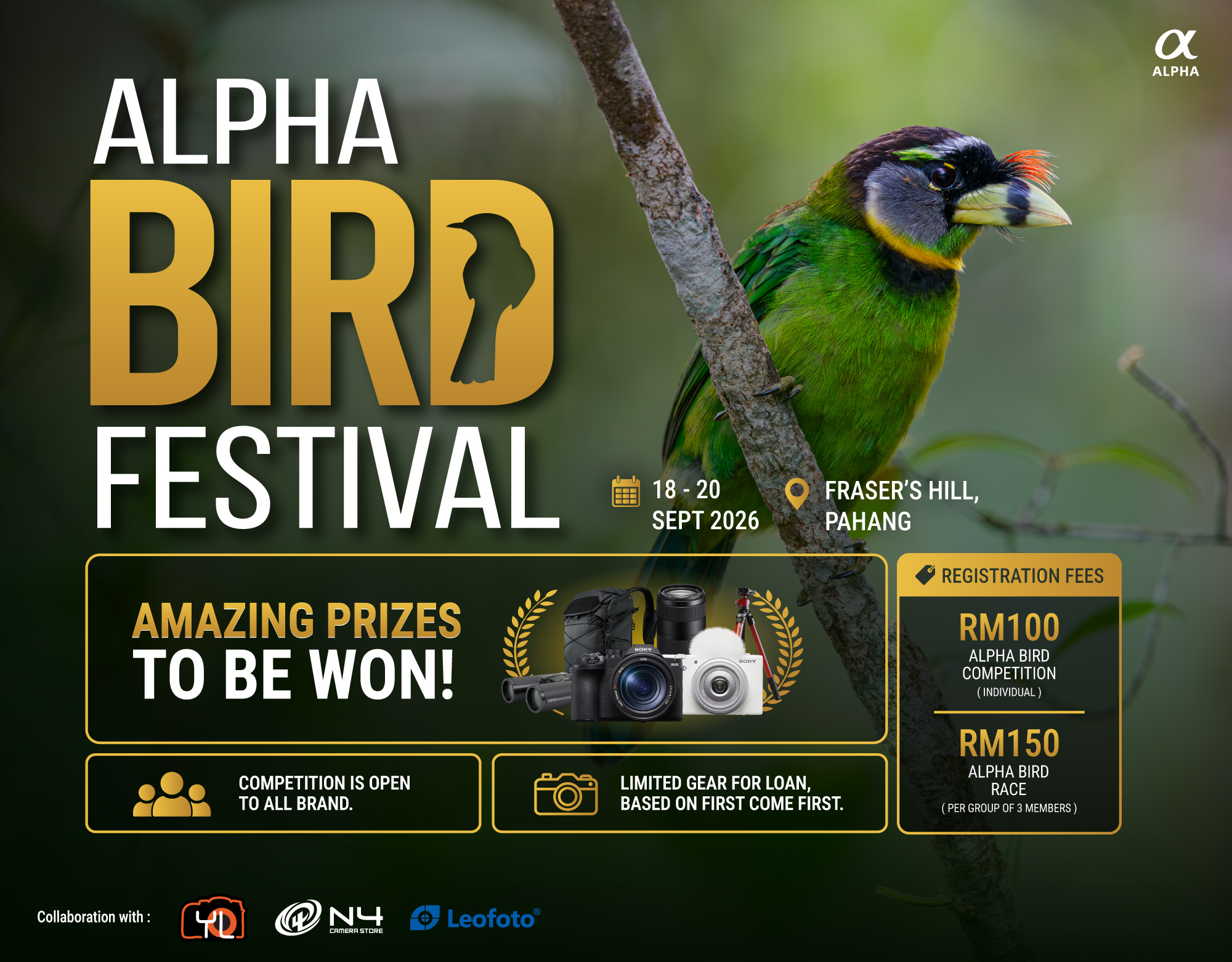 Mobile Banner